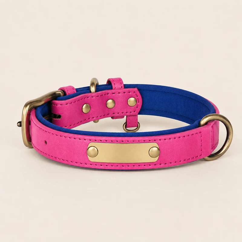 collier en cuir fuchsia, doublure bleu roi