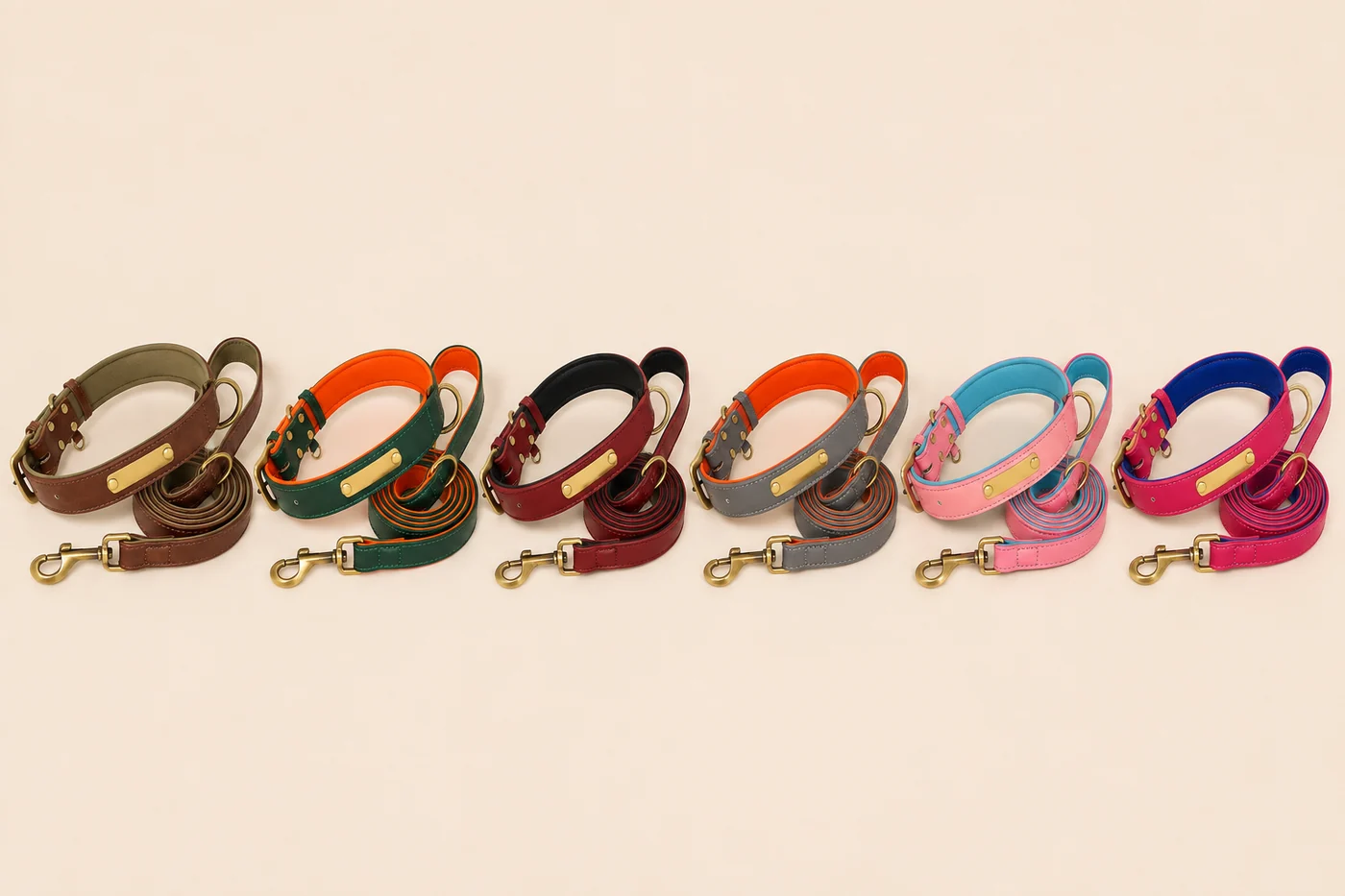 les six duos collier et laisse alignés sur fond crème : brun, vert, rouge, gris, rose et fuchsia