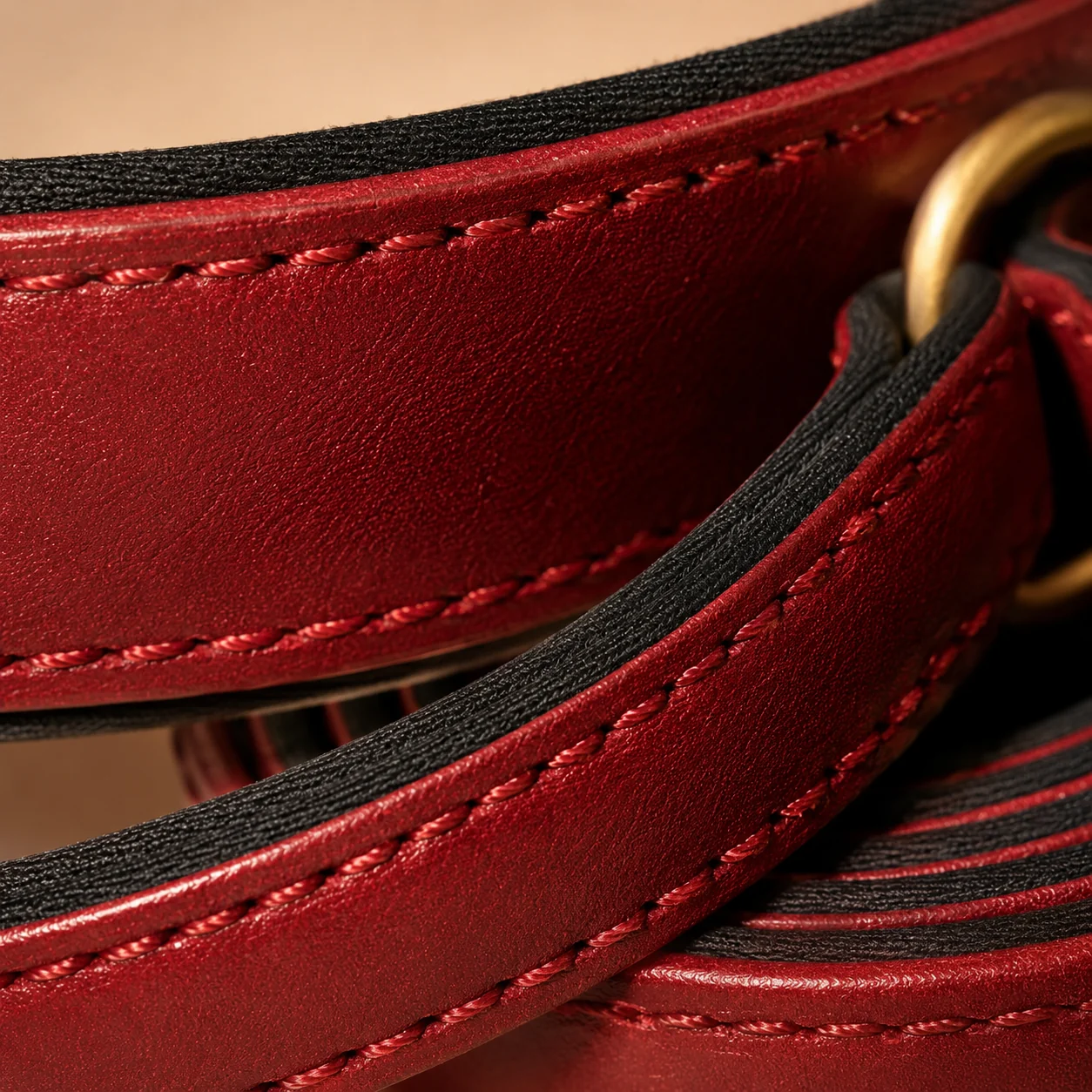 macro de la double couture sur le cuir rouge, la même sur le collier et sur la laisse