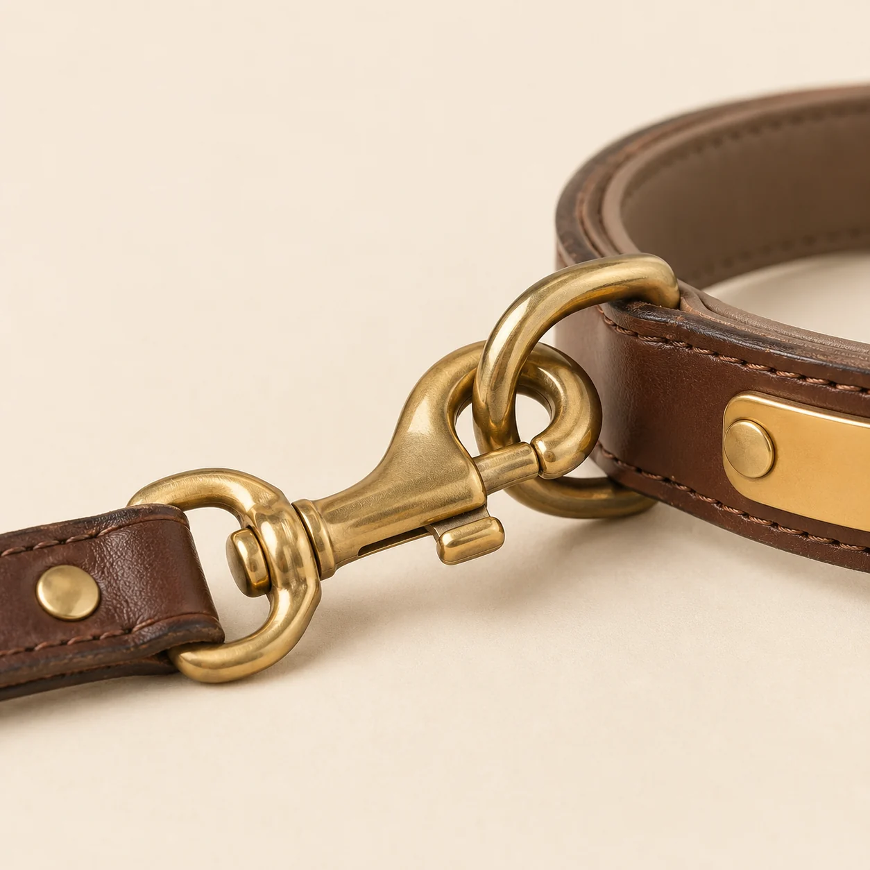 le mousqueton laiton de la laisse clipsé sur l’anneau du collier brun, les deux pièces jointes