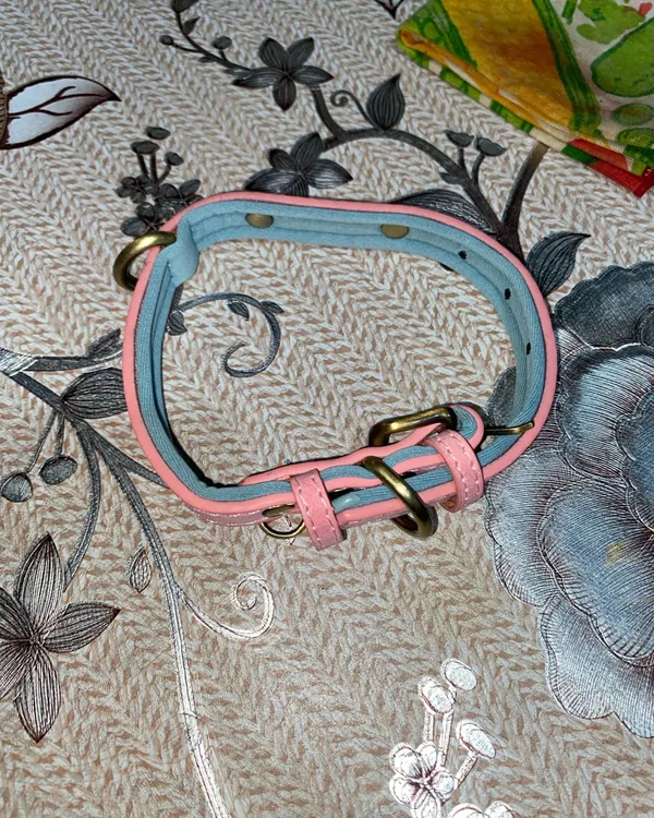 Collier chien personnalisé en cuir photographié par Thomas L., acheteur vérifié