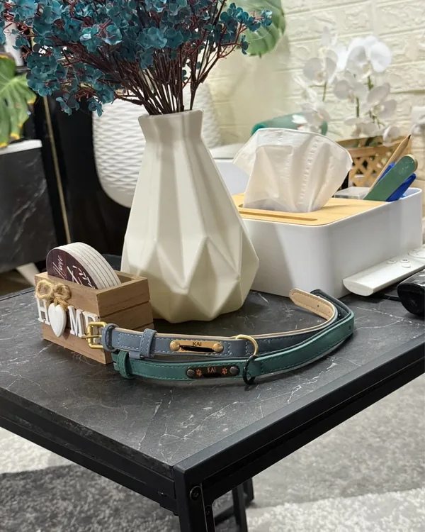 Collier chien personnalisé en cuir photographié par Élodie V., acheteur vérifié